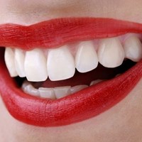 Портфолио jacquetta smith